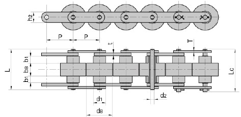 Double plus chain