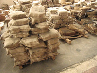 Nylon bag