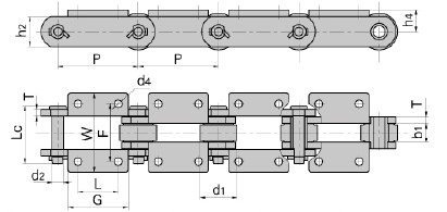 Sugar chain